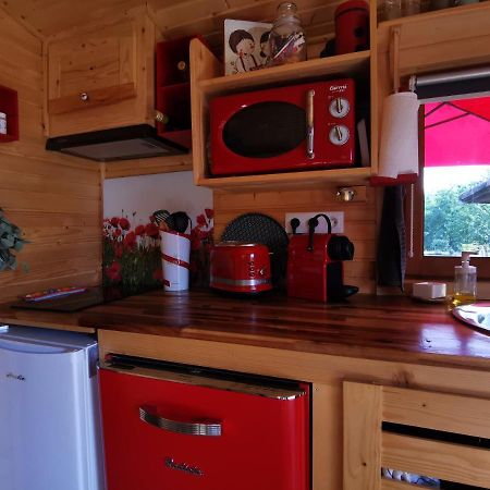 La Roulotte Du Cagire - 4 Pers - Pyrenees Guest House Villeneuve-de-Riviere Luaran gambar