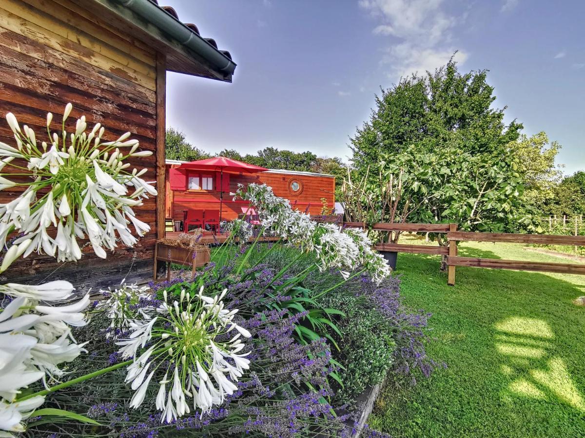 La Roulotte Du Cagire - 4 Pers - Pyrenees Guest House Villeneuve-de-Riviere Luaran gambar